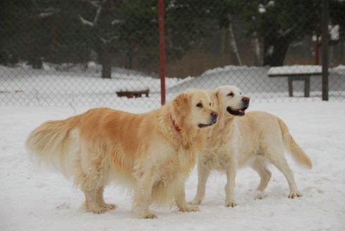 2e5748f54d76df2e5fcb7782218a922f_489