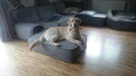 2e61e2aaa501278b33acadca47d59d09_267