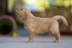 2e71ab504b21943ba8e8685b5b84c66d_246