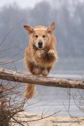 2ef0c66226529cd9af8f8d764d6f5f4e_164x246_fill