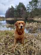 2f0caa51453ea1fa75d2228fa4d1cbf7_138x184_fill