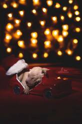 2f4da2f662214302b15b009faa3bb704_164x246