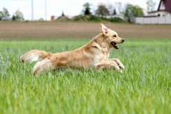 2fb70eb3f0cf628990967e89221e9444_246