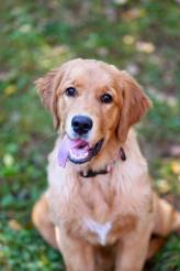 2fbec77b7a5c88d2fa20e8d1fb0fbb0d_164x246