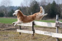 2fddbc890c6fad4c6017b459d24cb773_246