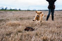 2fed88a92bca0a010bb0aa7692f32e5a_246x164_fill