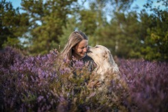 2ff487dffc11aa44708a1442adf20f3e_246