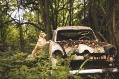 30218b0f25aff0f8a1549e82ff5773f8_245