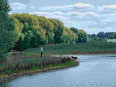 302abf5dac7a5b9184759efdcb1ca3e5_232x174_fill