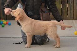 30a65ed72ae74b4b97a8ef8d6fd5a045_246x164_fill