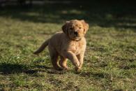 30d110ca9226a34412d7571c69fa9ad4_195x130_fill