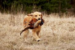 30db586888198c882028751bcc711104_245