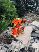 30f3770e1af6bd5836e919082bf9000f_138x184_fill