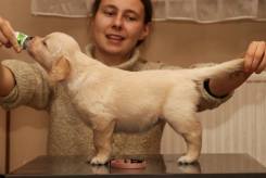 310191e967d871bfcb3bdfd5c7e994cd_245