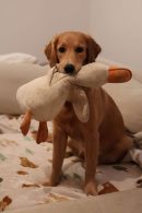 31240b1f34a6eb0016a08530998ef8e8_130x195_fill