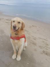 312bd2009b86f33aba3378b7412d06c1_174x232_fill