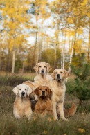 31c21999b8280456272935f54d2a63f9_130x195