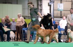 31ec1df36b28487d5348d520a88680f6_247