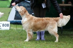 31eda35c6d696dc6ae75976b3bca84c6_246