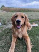 31fe18e7847f4adb6d076ab668555ade_138x184_fill