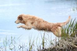 32593a273a39c6b13147bf2cee2fd08d_246