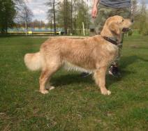 328758367bf6d8da4f185ec5bdffc335_212