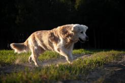 3299f1464008dfee1fc3fb7685ecfcc8_246x164_fill