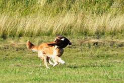 32a1464abb2abc42fb02e3ed1a8c96fc_246