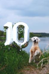 32acaa87419fbea48c26d49003d735db_164x246