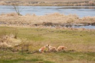 32fdfcdf58a098e71130412689d79fd1_195x130_fill