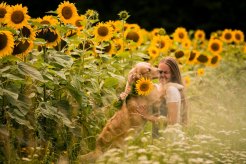 330dc8d4e4580c671e7d4b70a218f681_246