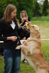 33241b2e629f172fa4ec1dd72e00c97a_164x246