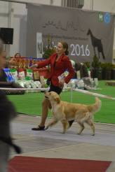 33543d4acc5c7acec9787d8f90fe3335_164x246