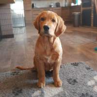 342b5a2f811d3d90c86c5d63ab5e71eb_200x200_fill