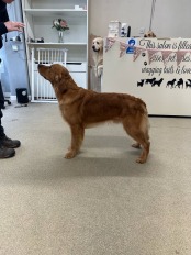 34303b7e0faee213875872f25ad1545f_174x232_fill