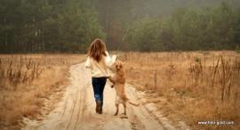 343f159341ffc1276051f594b60f71db_270