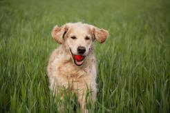 34474e9eb400f857e86d90102fec8b95_246x164_fill