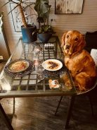 345b8237559bbb7ed2f8a87d9dd8238a_138x184_fill