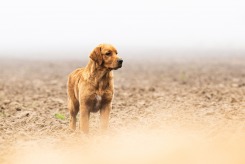 347772c677217fc7750f925d91a57b1f_245