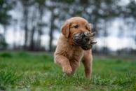 34bb148dc0d5c334f5046cde9eda91d7_194