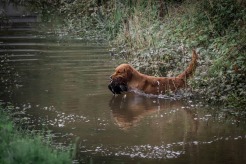 34c5b7d30d9e9e438d8dee5a2c09b3ef_246