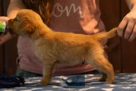 350356505d5f39873464f92a907d4681_194