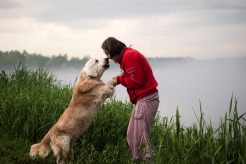 3503743796505838b74d485e181aaa83_246