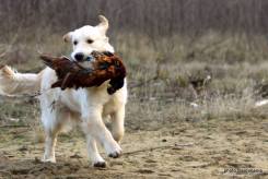 354378cc58656ff4154383b7c3e30934_245