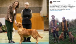 3555c16edef3f0ef3cd135617efda4a6_263