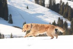 3555fb5010450ed52cb86f6b2758edf6_246x164_fill