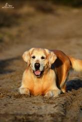 359860f531023cfff46a645f09a8021d_164x245