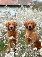 35e2bfa89c2475d01dc54ef9b0d44118_138x184