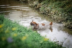 362a70cfe6934b6620519c97b10eea31_246