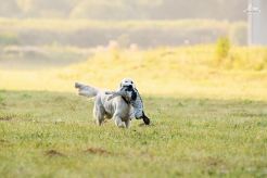 3637d8a04d5d8e5e6a2e6045a25eaac6_246